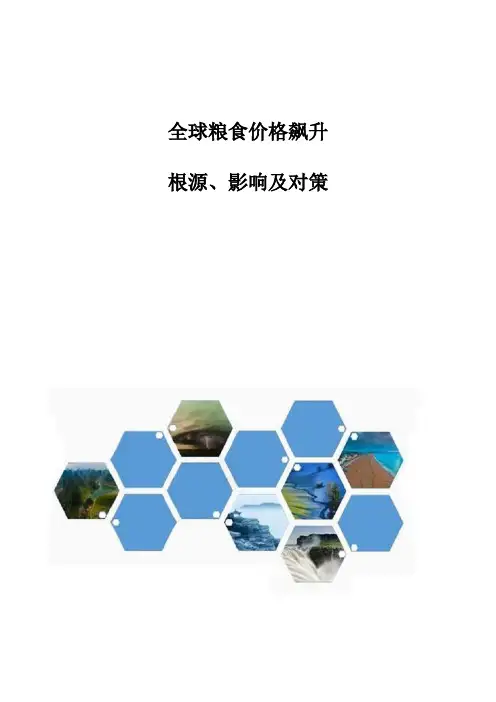 全球粮食价格飙升：根源、影响及对策