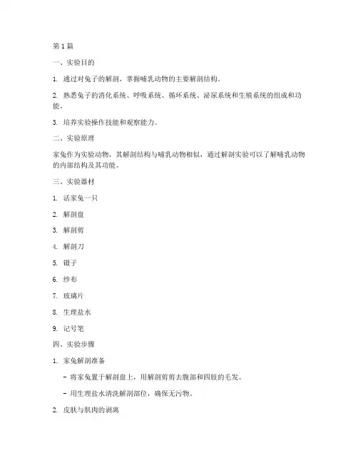 兔子解剖实验报告模板(3篇)