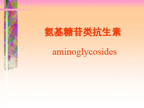 药理学 氨基甙类