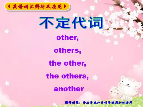 other, the other, others, the others, another 辨析