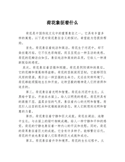 荷花象征着什么