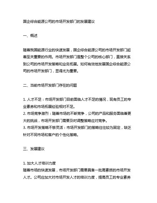 国企综合能源公司的市场开发部门的发展建议