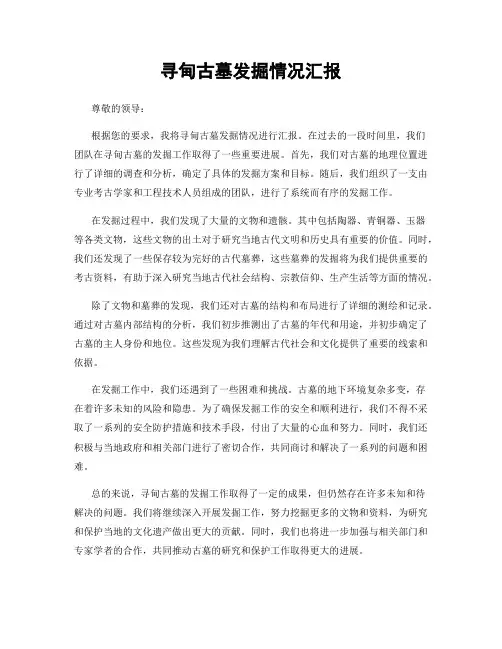 寻甸古墓发掘情况汇报