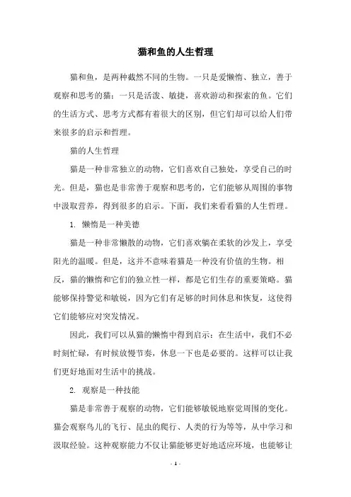 猫和鱼的人生哲理