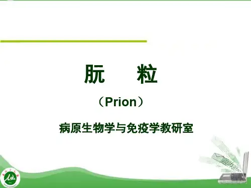 第34章 阮粒