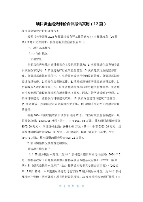 项目资金绩效评价自评报告实用(12篇)
