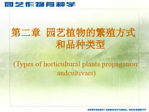 园艺植物的繁殖方式和品种类型
