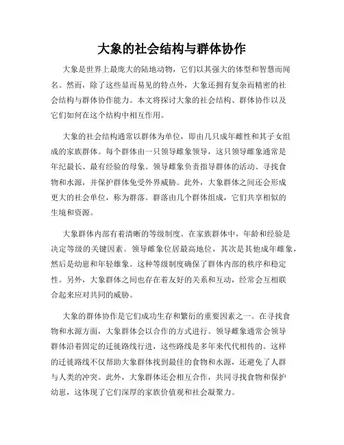 大象的社会结构与群体协作