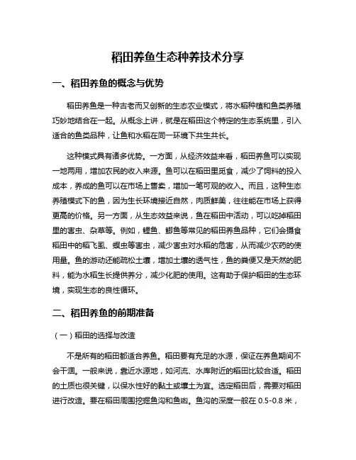 稻田养鱼生态种养技术分享