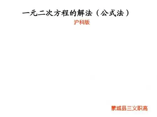 一元二次方程的解法(公式法)