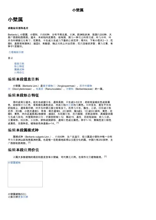小檗属——精选推荐