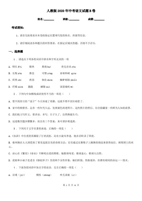 人教版2020年中考语文试题B卷(测试)