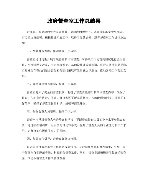 政府督查室工作总结县