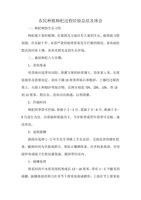 农民种植枸杞过程经验总结及体会