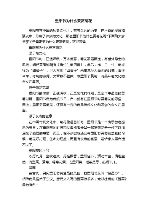 重阳节为什么要赏菊花