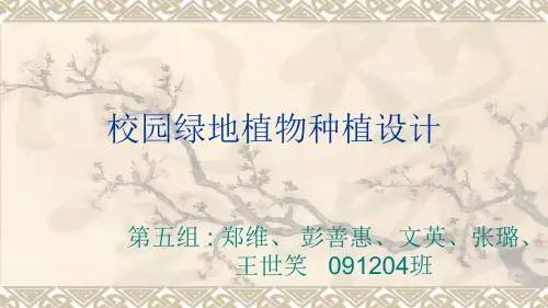 校园绿地植物种植设计方案