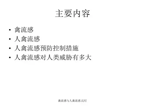 禽流感与人禽流感.幻灯课件