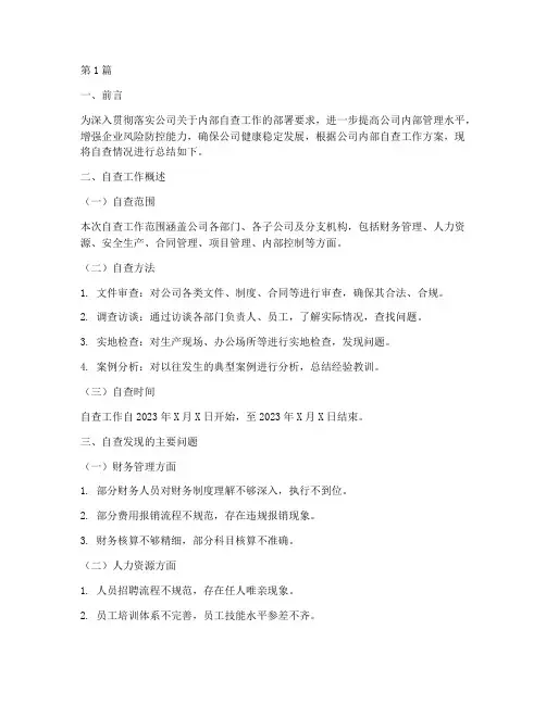 内部自查总结报告范文(3篇)