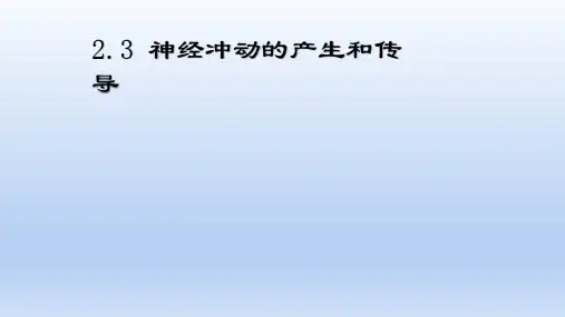 高中生物- 2.3 神经冲动的产生和传导 课件