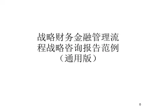 战略财务金融管理流程战略咨询报告范例(PPT 130页)-通用版精品文档