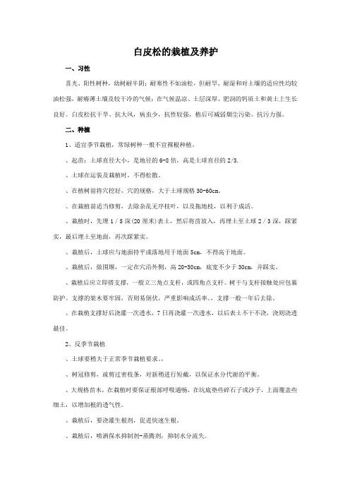 白皮松的栽培及养护技术