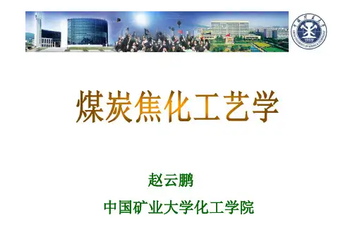 第十章 粗苯的精制 [兼容模式]