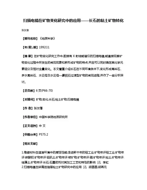 扫描电镜在矿物变化研究中的应用——长石的粘土矿物转化