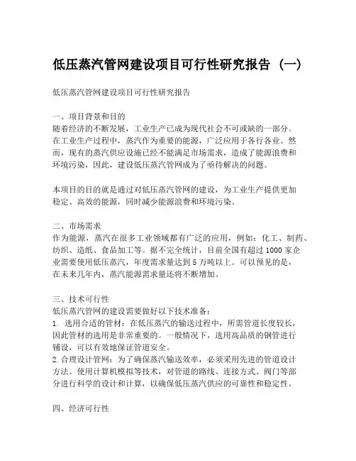 低压蒸汽管网建设项目可行性研究报告 (一)