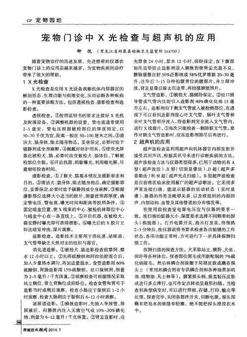 宠物门诊中X光检查与超声机的应用