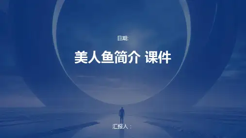 美人鱼简介 课件