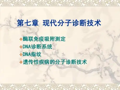 现代分子诊断技术
