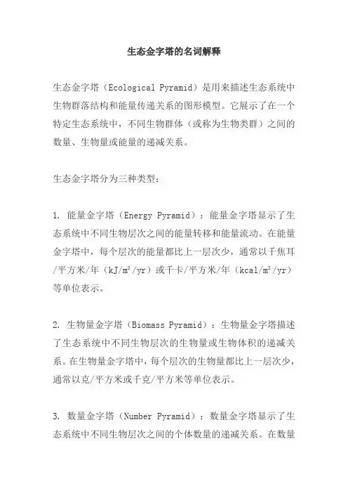 生态金字塔的名词解释