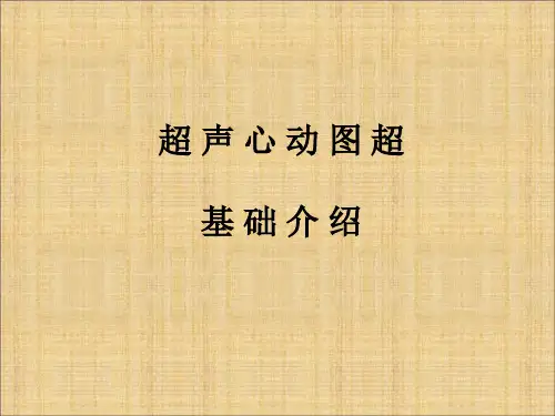 心脏超声诊断入门PPT课件