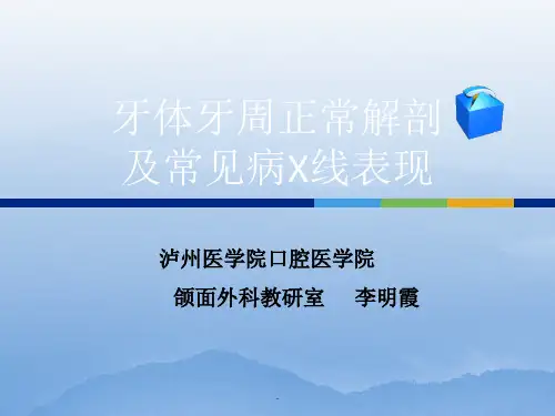 牙体牙周正常解剖及常见病X线表现ppt课件