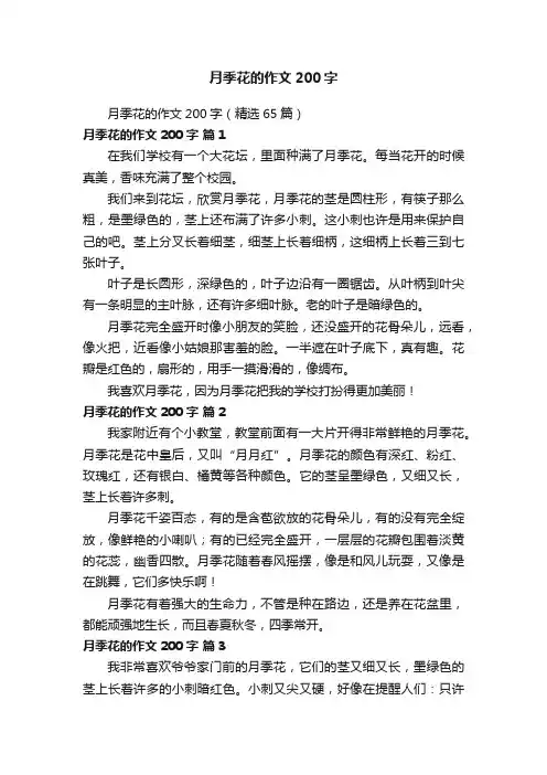月季花的作文200字（精选65篇）
