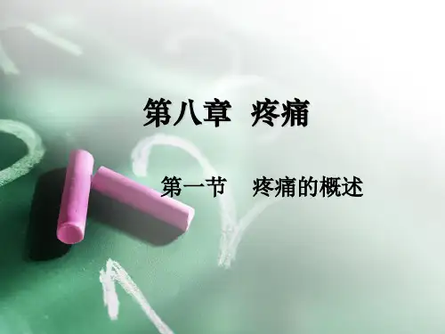 痛觉课件