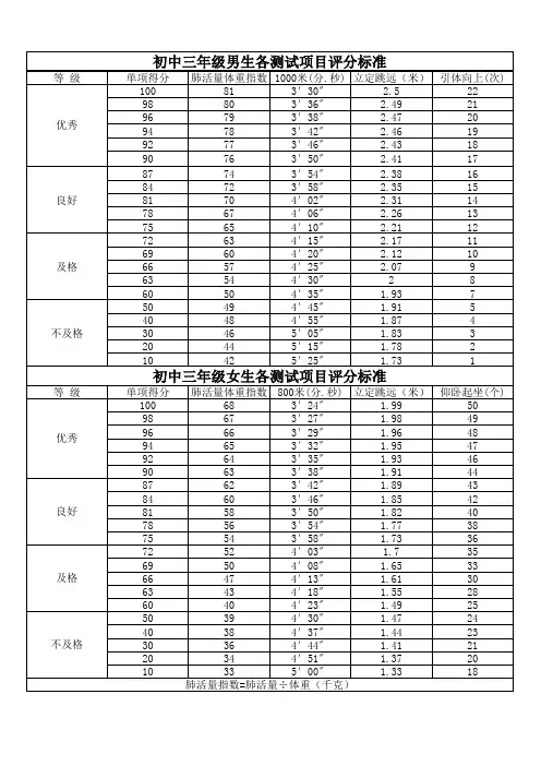 临沂中考体育评分标准