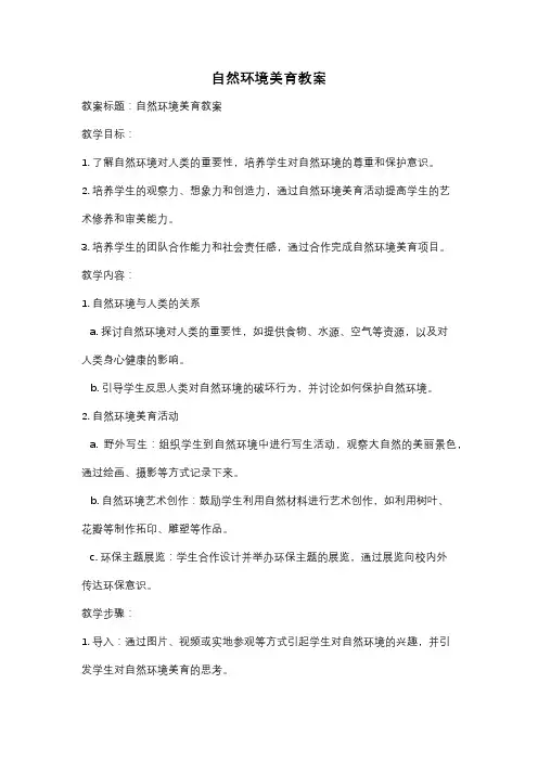 自然环境美育教案