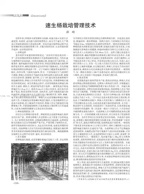 速生杨栽培管理技术