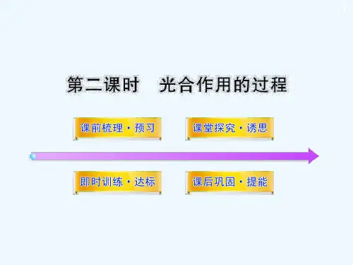 光合作用的过程-PPT