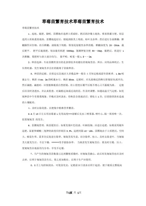 草莓苗繁育技术草莓苗繁育技术