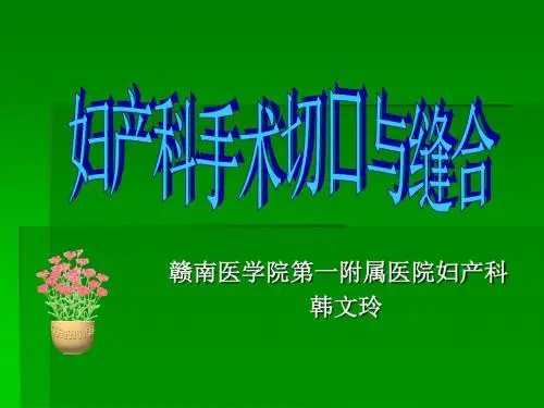 妇产科手术切口及缝合