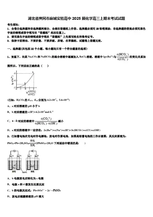 湖北省黄冈市麻城实验高中2025届化学高三上期末考试试题含解析