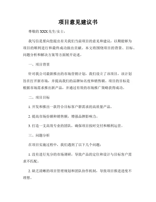 项目意见建议书