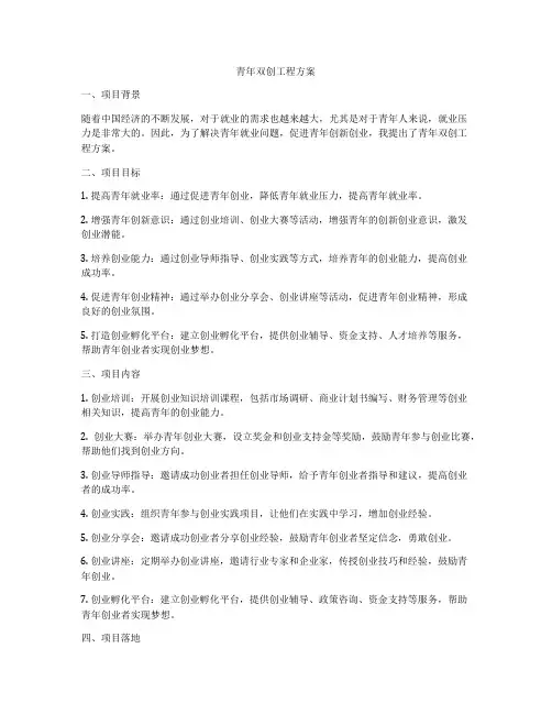 青年双创工程方案