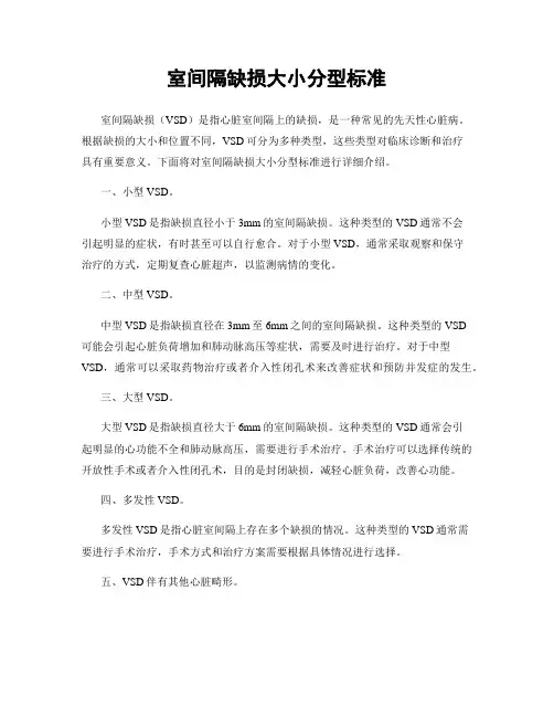 室间隔缺损大小分型标准
