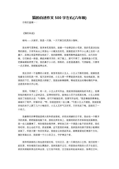 猫的自述作文500字左右(六年级)