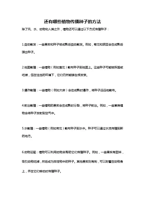 还有哪些植物传播种子的方法