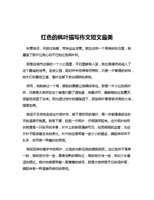 红色的枫叶描写作文短文最美