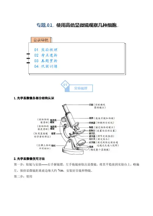 实验01使用高倍显微镜观察几种细胞
